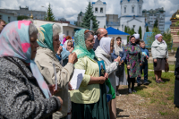 Митрополит Орловский и Болховский Тихон совершил заупокойную литию в 40-й день со дня преставления митрополита Антония (Черемисова), 1 июня 2026 года, г.Орел