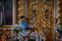 В канун дня Ахтырской иконы Божией Матери, митрополит Орловский и Болховский Тихон совершил всенощное бдение в Ахтырском кафедральном соборе города Орла. 14 июля 2026 г.