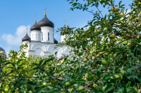 В канун Недели 10-й по Пятидесятнице и дня памяти великомученика и целителя Пантелеимона, митрополит Орловский и Болховский Тихон совершил всенощное бдение в Свято-Успенском мужском монастыре города Орла. 8 августа 2026 года В канун Недели 10-й по Пятидесятнице и дня памяти великомученика и целителя Пантелеимона, митрополит Орловский и Болховский Тихон совершил всенощное бдение в Свято-Успенском мужском монастыре города Орла. 8 августа 2026 года