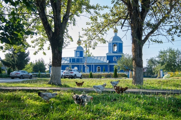 Владыка Тихон возглавил Божественную литургию в Покровском храме поселка Шаблыкино Владыка Тихон возглавил Божественную литургию в Покровском храме поселка Шаблыкино